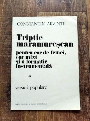 DD- Triptic maramuresan, Constantin Arvinte, cor si formatie intrumentala foto