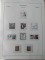 icon 5