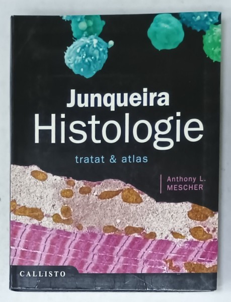 JUNQUEIRA , HISTOLOGIE TRATAT and ATLAS by ANTHONY L. MESCHER , 2016