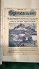 REVISTA OGLINDA LUMII 19 IUNIE 1926 , BOGAT ILUSTRATA