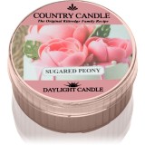 Country Candle Sugared Peony lum&acirc;nare 42 g