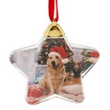 Ornament Brad de Craciun Glob Transparent pentru Poze, CMCLASS