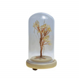Copac in cupola de sticla cu lumina multicolora cristal natural citrin 13cm
