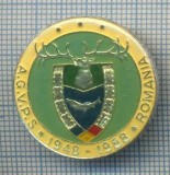 AX 161 INSIGNA VANATOARE SI PESCUIT SPORTIV PERIOADA RSR -A.G.V.P.S -1948-1988