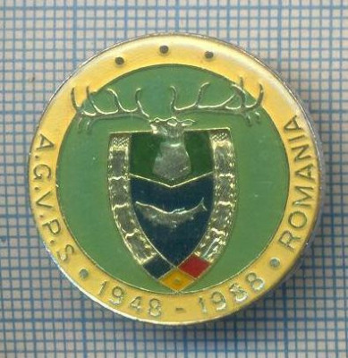 AX 161 INSIGNA VANATOARE SI PESCUIT SPORTIV PERIOADA RSR -A.G.V.P.S -1948-1988 foto