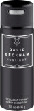 David Bechham Deodorant spray Instinct, 150 ml, David Beckham