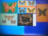 HOPCT LOT NR 400 FLUTURI -FAUNA -5 CARTI POSTALE-NECIRCULATE
