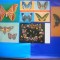 HOPCT LOT NR 400 FLUTURI -FAUNA -5 CARTI POSTALE-NECIRCULATE