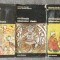 Dominique Sourdel; Janine Sourdel-Thomine - Civilizația islamului clasic (3 vol.)