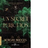 Un secret periculos. Prima carte din seria Ordinul de Obsidian - Monica Constantinescu, Morgan Bridges