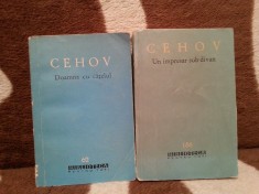 DOAMNA CU CATELUL/UN IMPRESAR SUB DIVAN-ANTON PAVLOVICI CEHOV (2 VOL)