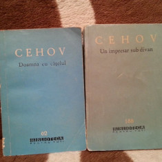 ANTON PAVLOVICI CEHOV CARTI (2 VOL)