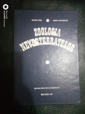 Zoologia nevertebratelor-Valeria Fira,Maria Nastasescu foto