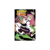 Demon Slayer: Kimetsu No Yaiba, Vol. 14, Volume 14