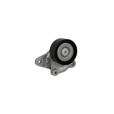 Intinzator curea MERCEDES-BENZ E-CLASS W211 DAYCO APV3026 foto