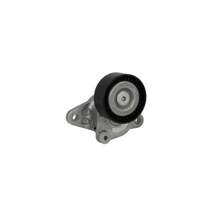 Intinzator curea MERCEDES-BENZ G-CLASS Cabrio W463 DAYCO APV3026