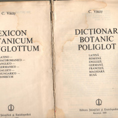 C10075 - DICTIONAR BOTANIC POLIGLOT - C. VACZY