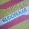 Agenda sudorului- V. Berinde