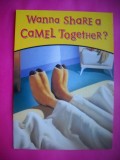 HOPCT 8806 WANNA SHARE A CAMEL TOGETHER ?...!!..!! -CP FELICITARE AMUZANTA- EUROPA-NECIRCULATA