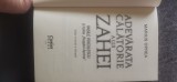 Marius Oprea - Adevărată călătorie a lui Zahei. Vasile Voiculescu și taină "Rugului Aprins"