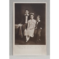 COPIII ARHIDUCELUI FRANZ FERDINAND SI AI ARHIDUCESEI DE HOHENBERG , PRINTUL MAX , PRINTESA SOPHIE , PRINTUL ERNST , CARTE POSTALA ILUSTRATA , MONOCROM
