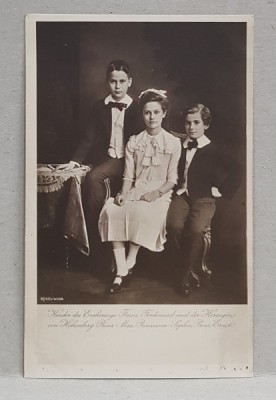 COPIII ARHIDUCELUI FRANZ FERDINAND SI AI ARHIDUCESEI DE HOHENBERG , PRINTUL MAX , PRINTESA SOPHIE , PRINTUL ERNST , CARTE POSTALA ILUSTRATA , MONOCROM foto