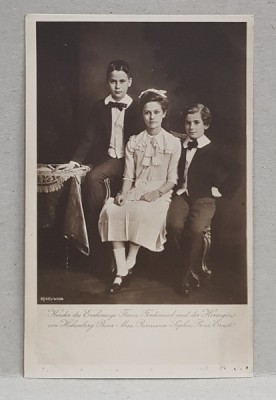 COPIII ARHIDUCELUI FRANZ FERDINAND SI AI ARHIDUCESEI DE HOHENBERG , PRINTUL MAX , PRINTESA SOPHIE , PRINTUL ERNST , CARTE POSTALA ILUSTRATA , MONOCROM foto