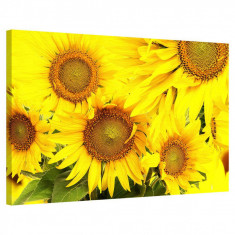 Tablou Canvas, Tablofy, Yellow Sunflower, Printat Digital, 70 × 50 cm