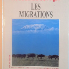 LES ANIMAUX SAUVAGES, LES MIGRATIONS de LAURE FLAVIGNY, CATHERINE NICOLLE, 1993