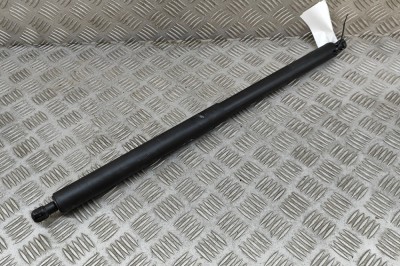 Amortizor haion dreapta TESLA MODEL Y 2024 OEM: 150060200A | 30353097 foto
