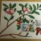 C12 - maxima Romania - tematica flora 6 - prima zi a emisiunii sau expozitii