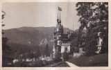 Castel Peles Sinaia (circulata 1931)