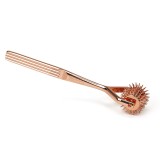 Accesoriu Stimulare Erotica Five-Row Wartenberg Pinwheel, Auriu