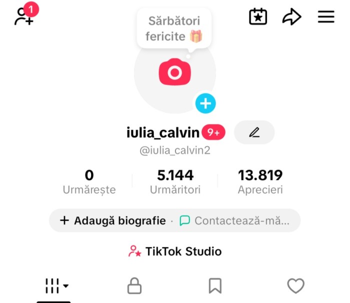 V&acirc;nd cont de tiktok de 5k