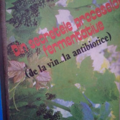 Valeriu Rugina - Din secretele proceselor fermentative (de la vin...la antibiotice) (1992)
