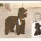 CA10 - Carte Postala -Asociatia chinologilor din RSR, Caniche - circulata 1983