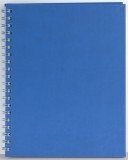 Agenda Premier 208 pagini Ego