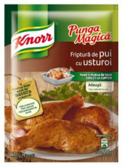 Knorr Punga Magica Pentru Friptura de Pui cu Usturoi 28g foto