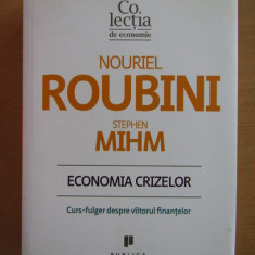 Economia crizelor Curs-fulger despre viitorul finantelor/ N. Roubini, St. Mihm