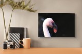 Tablou Canvas, "Flamingo &icirc;n lumina dimineții", Flamingo, Roz, Penaj, Elegant, Grațios, Profil, Delicat, 39 x 26 cm, CMCLASS
