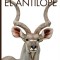 El Ant