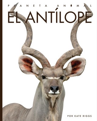 El Ant