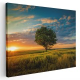 Tablou canvas peisaj apus copac singuratic in nuante verde, galben, albastru 1044 Tablou canvas pe panza CU RAMA 60x90 cm