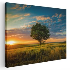 Tablou canvas peisaj apus copac singuratic in nuante verde, galben, albastru 1044 Tablou canvas pe panza CU RAMA 20x30 cm