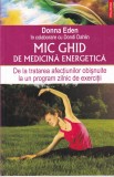 Donna Eden, Dondi Dahlin - Mic ghid de medicina energetica. De la tratarea