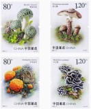 CHINA 2025 CIUPERCI