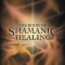 The Book of Shamanic Healing