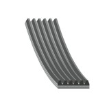 Febi Bilstein Curea transmisie cu caneluri