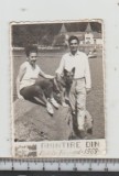 bnk foto Baile Tusnad - 1969