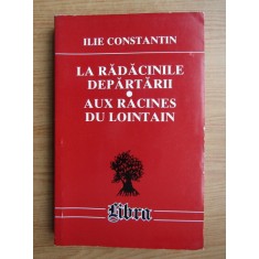 Ilie Constantin - La radacinile departarii / Aux racines du lointain